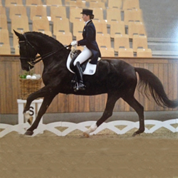 Antonia Jacobsen mit „Danny“